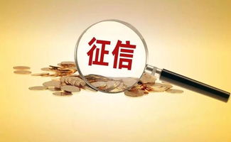 征信服務(wù)收費標(biāo)準(zhǔn)下調(diào)近50% 激發(fā)社會經(jīng)濟咨詢新活力